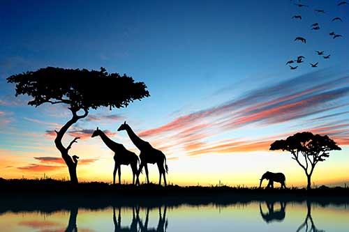 África do Sul